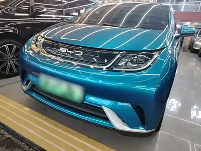 BYD Dolphin 2021