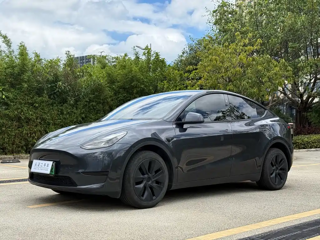 Tesla Model Y 2024 — фото 1