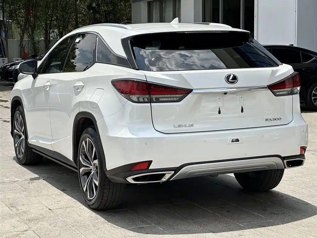 Lexus RX 2021 — фото 6