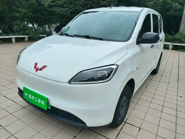 Wuling Hongguang New Energy 2025