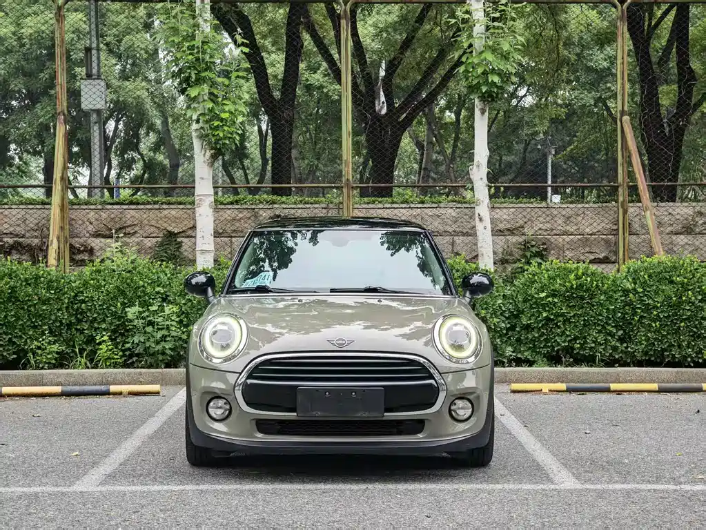 MINI MINI 2019