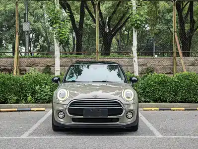 MINI MINI 2019
