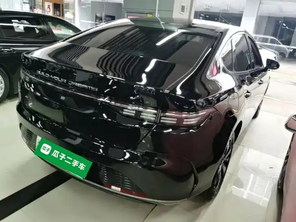 BYD Destroyer 05 2024