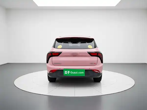 Neta V 2021