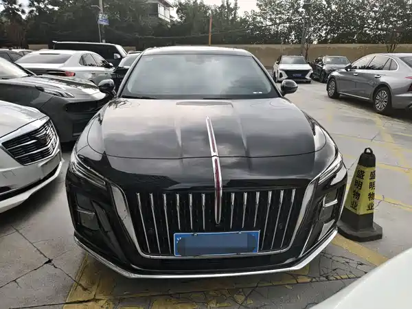 Hongqi H5 2024
