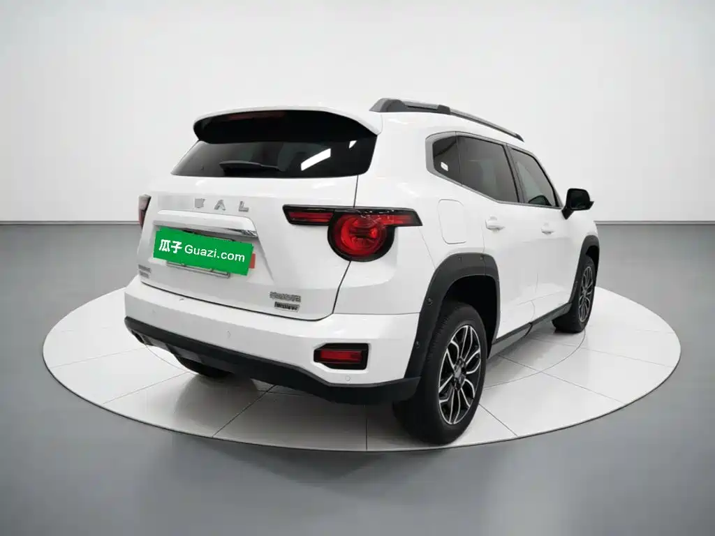 Haval Big Dog PLUS New Energy 2024 — фото 6