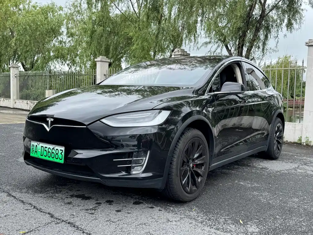Tesla Model X 2019