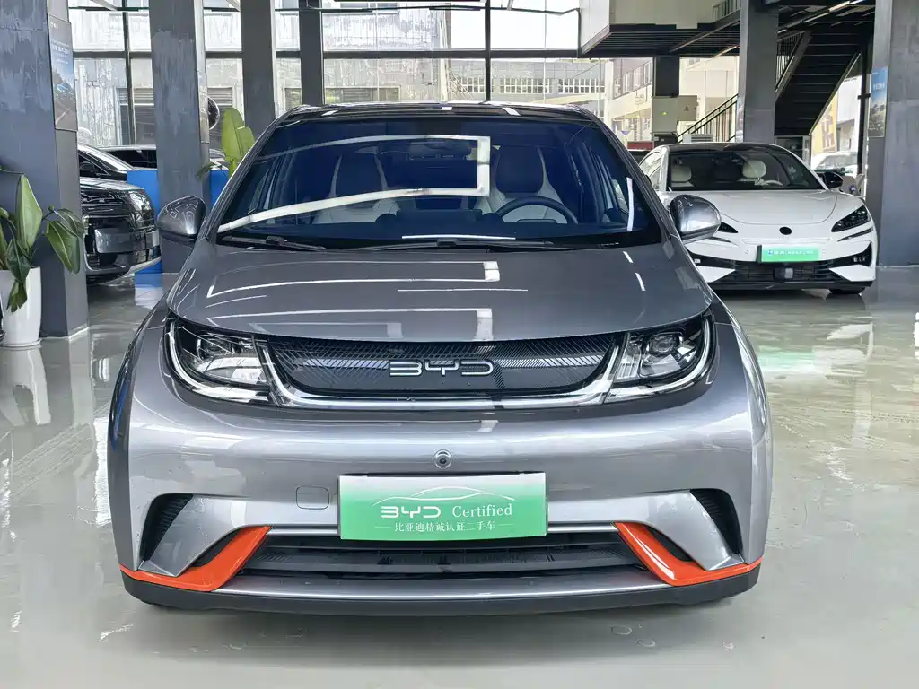 BYD Dolphin 2022