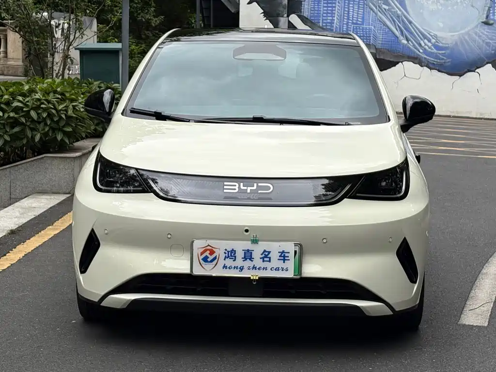BYD Dolphin 2025 — фото 2