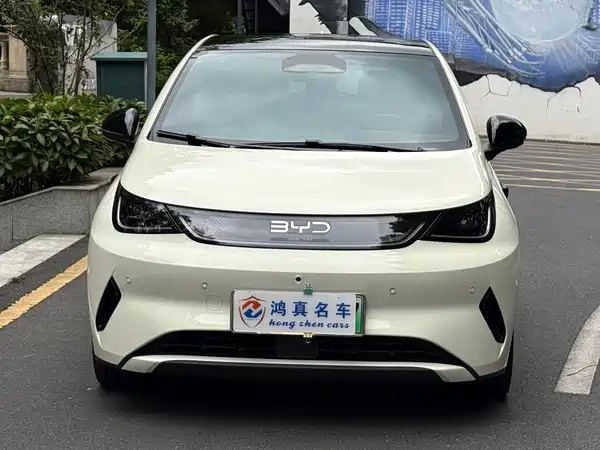 BYD Dolphin 2025