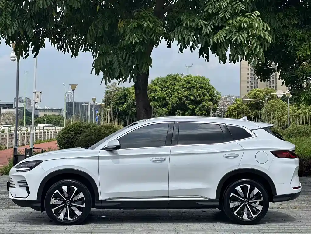 BYD PLUS New Energy 2024 — фото 14