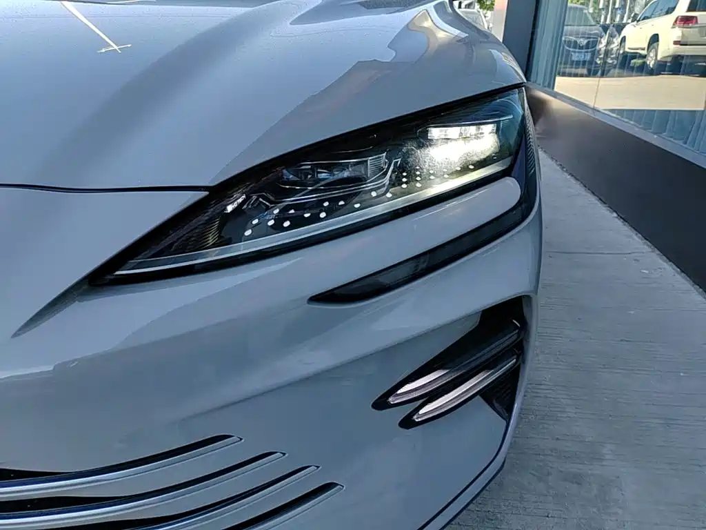 BYD Song PLUS New Energy 2023 — фото 24