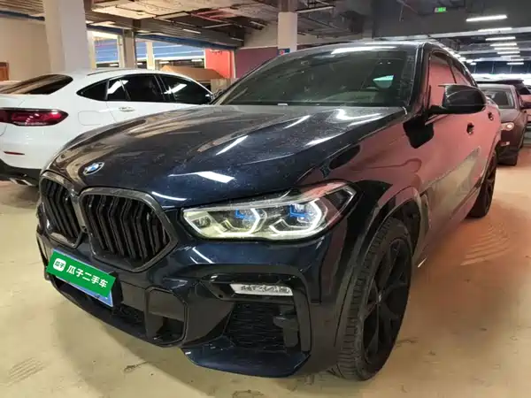 BMW X6 2021