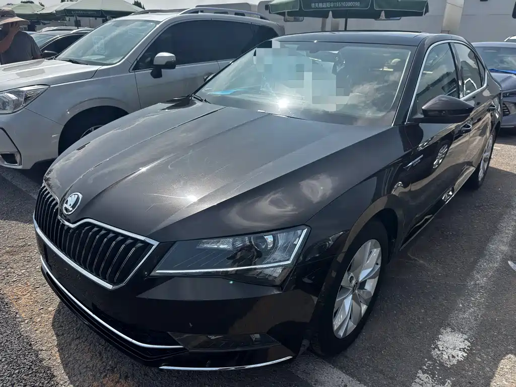 Skoda Speedy 2017