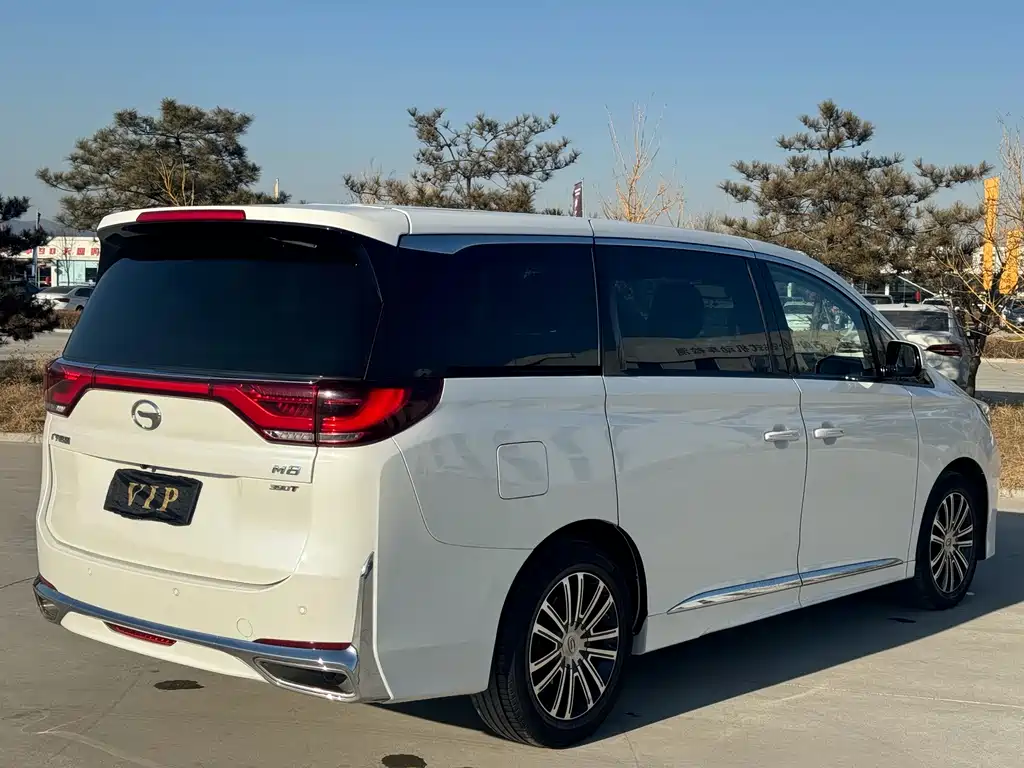 GAC Motor Trumpchi M8 2021 — фото 26