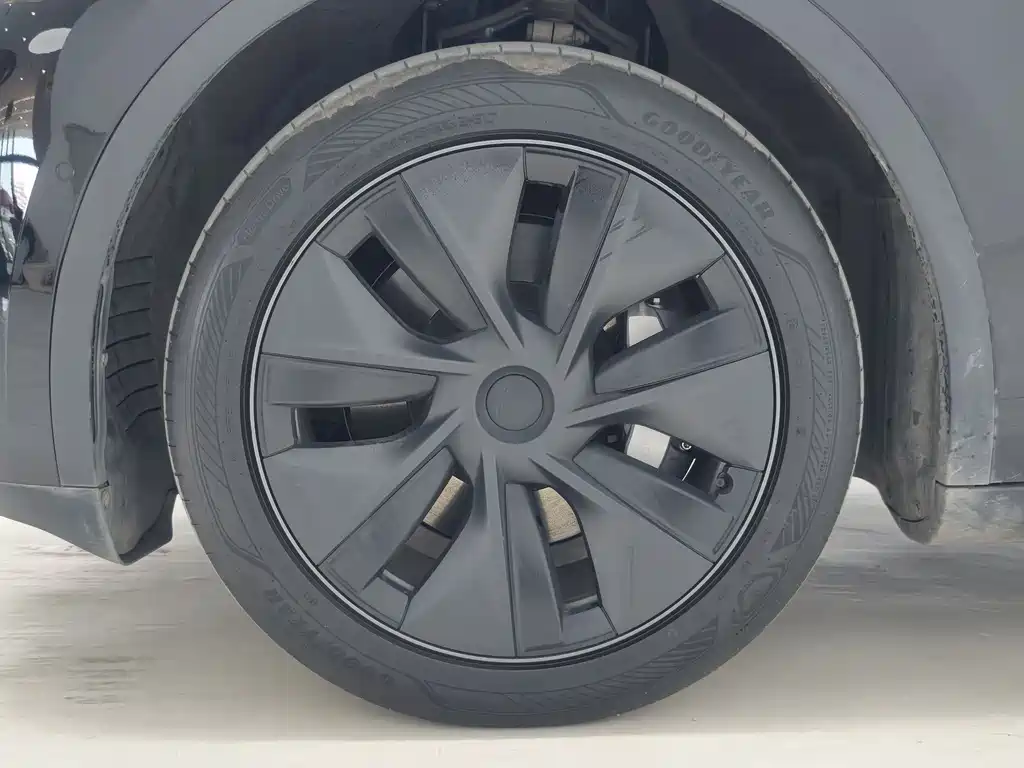 Tesla Model Y 2023 — фото 14