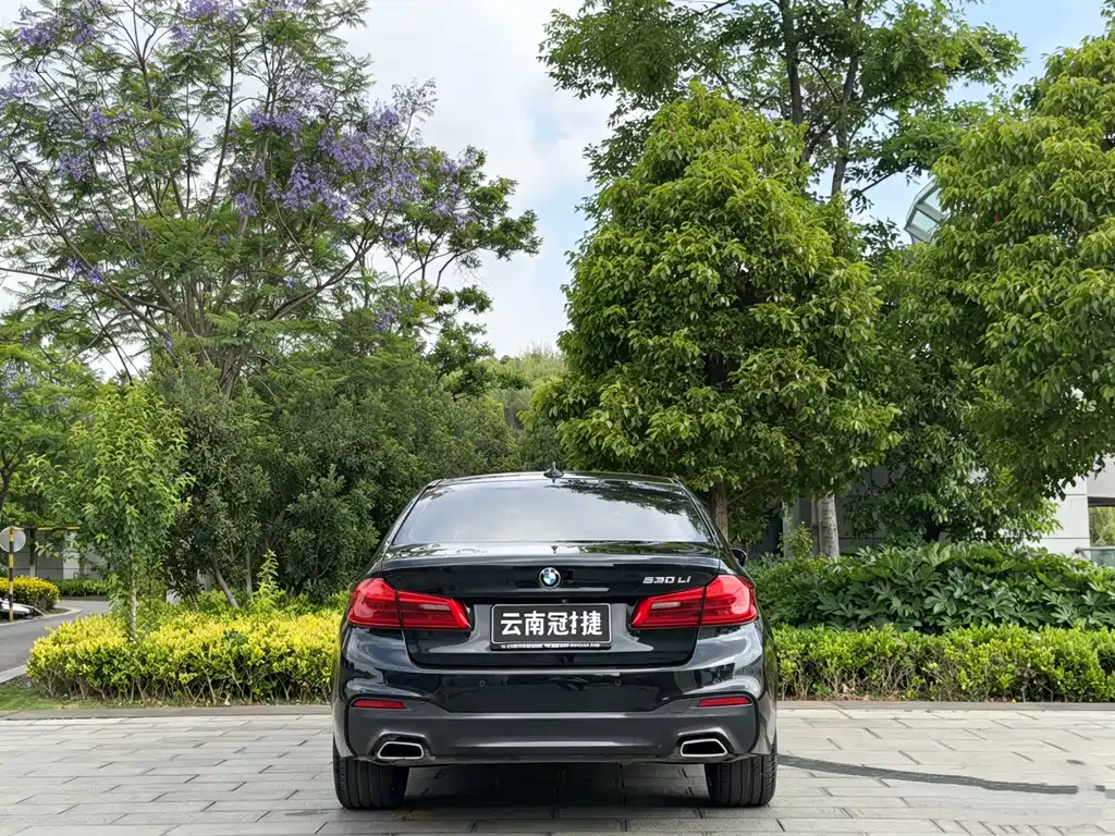 BMW 5 Series 2019 — фото 8