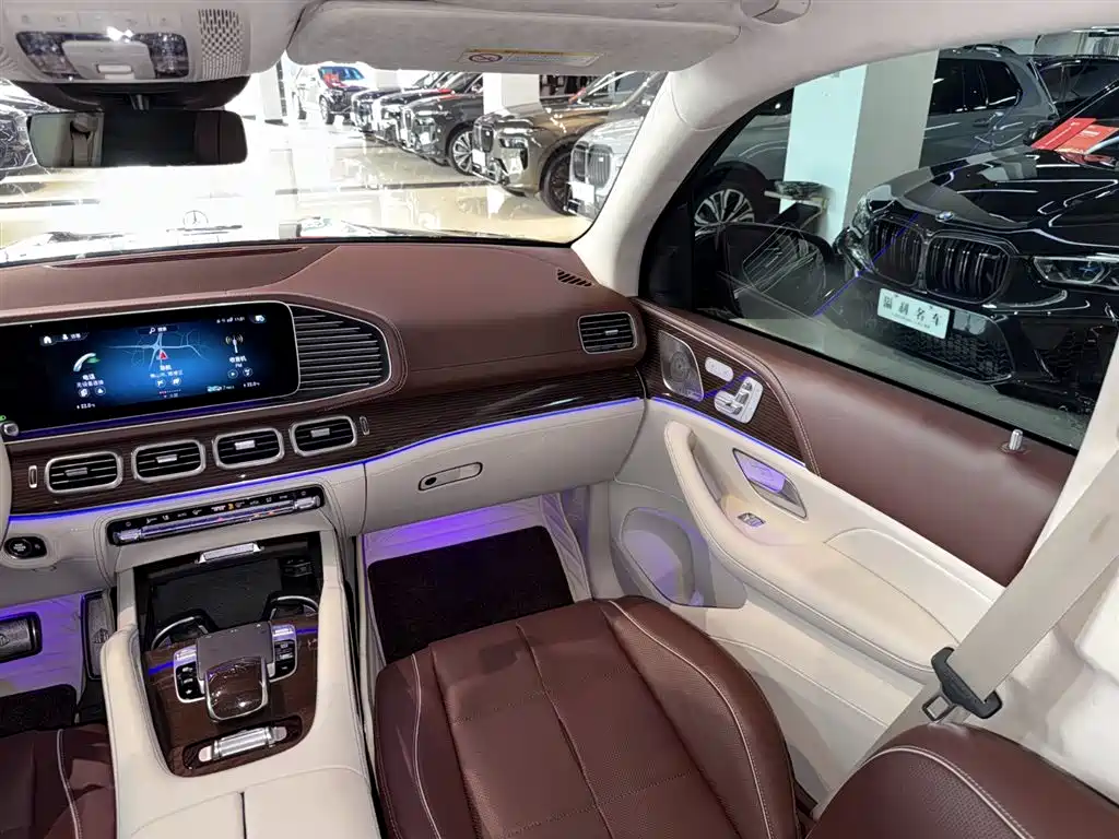 Mercedes-Benz Maybach GLS 2021 — фото 13