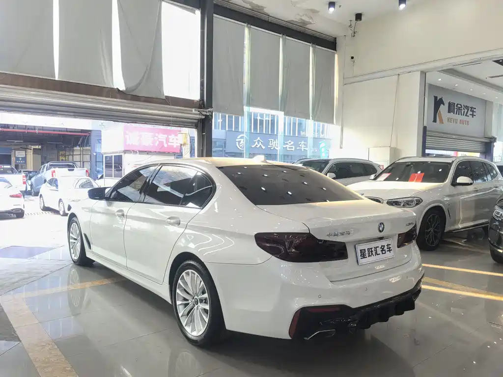 BMW 5 Series 2019