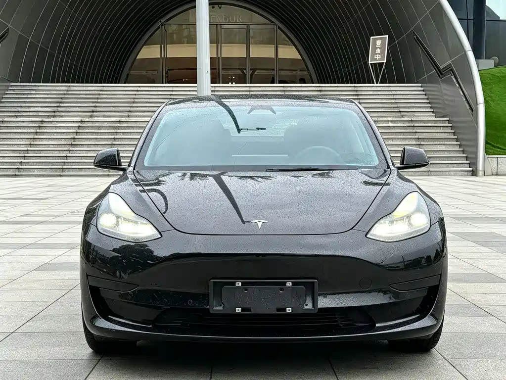 Tesla Model 3 2020 — фото 2