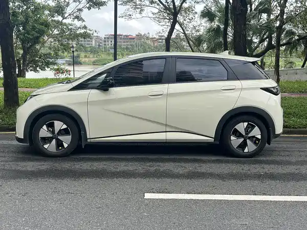 BYD Dolphin 2023