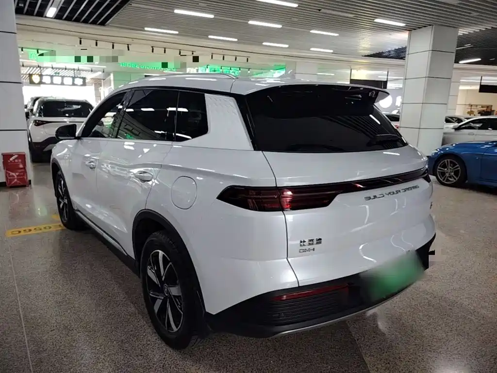 BYD Pro New Energy 2023 — фото 5