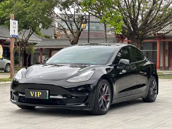 Tesla Model 3 2021
