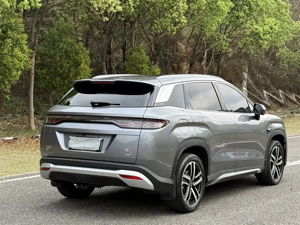 BYD L DM-i 2025 — фото 6