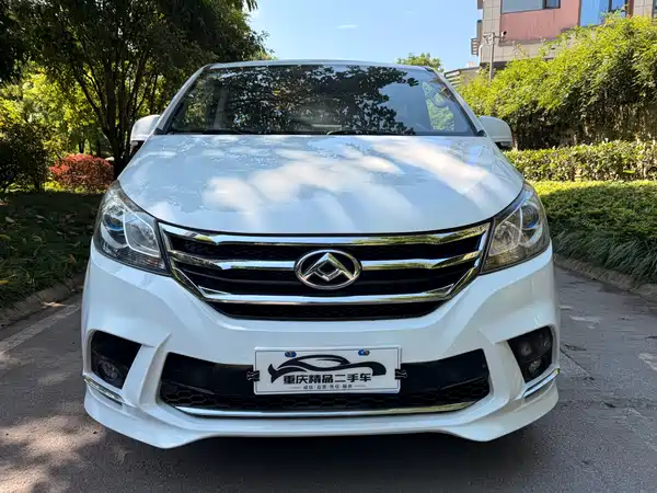 Maxus G10 2019