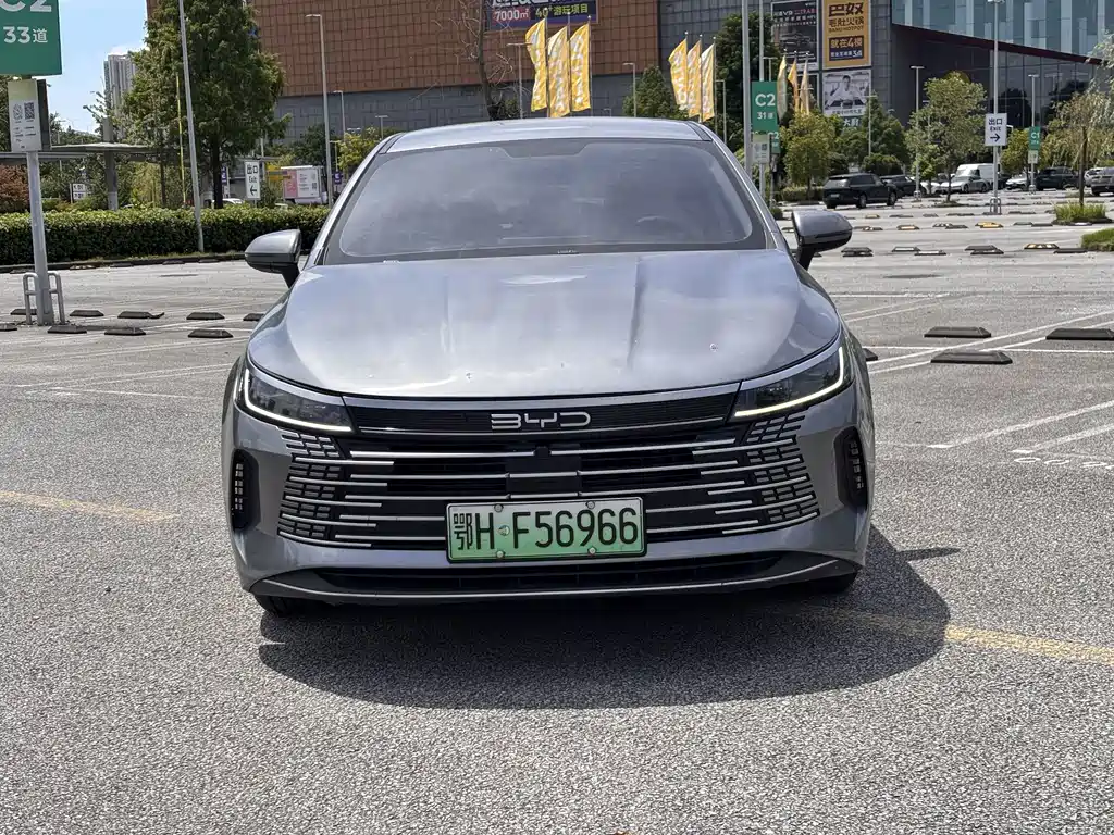 BYD Destroyer 05 2023 — фото 3