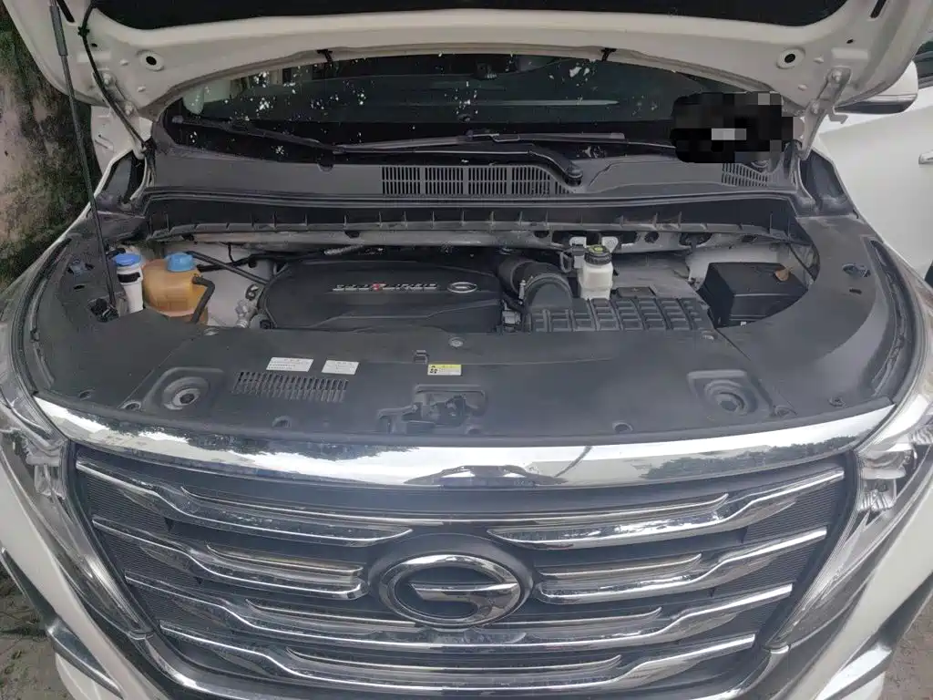 GAC Motor Trumpchi M8 2020 — фото 11