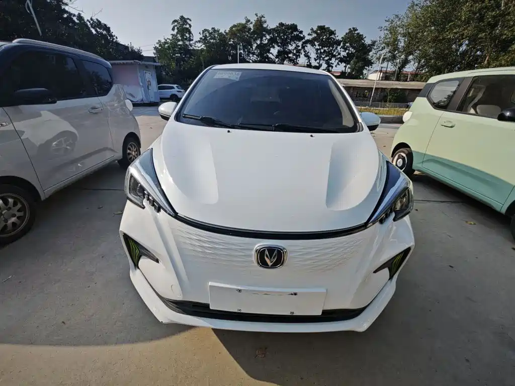 Changan Benben E-Star 2020