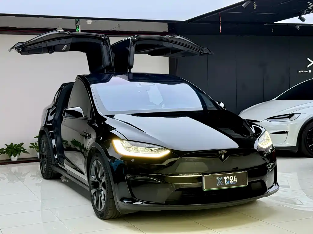 Tesla Model X 2023 — фото 3