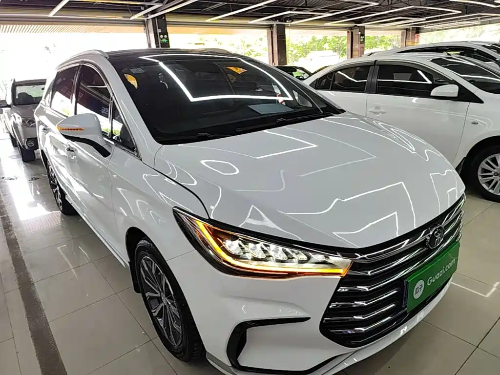 BYD MAX 2021