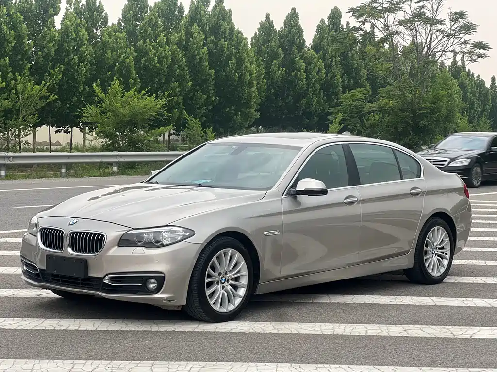 BMW 5 Series 2015