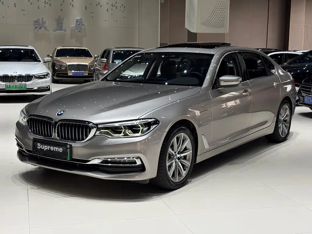 BMW 5 Series New Energy 2018