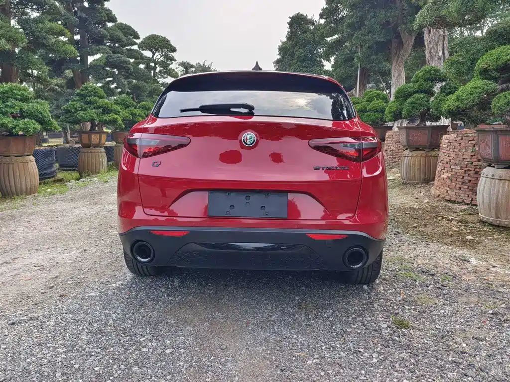 Alfa Romeo Stelvio 2019 — фото 16