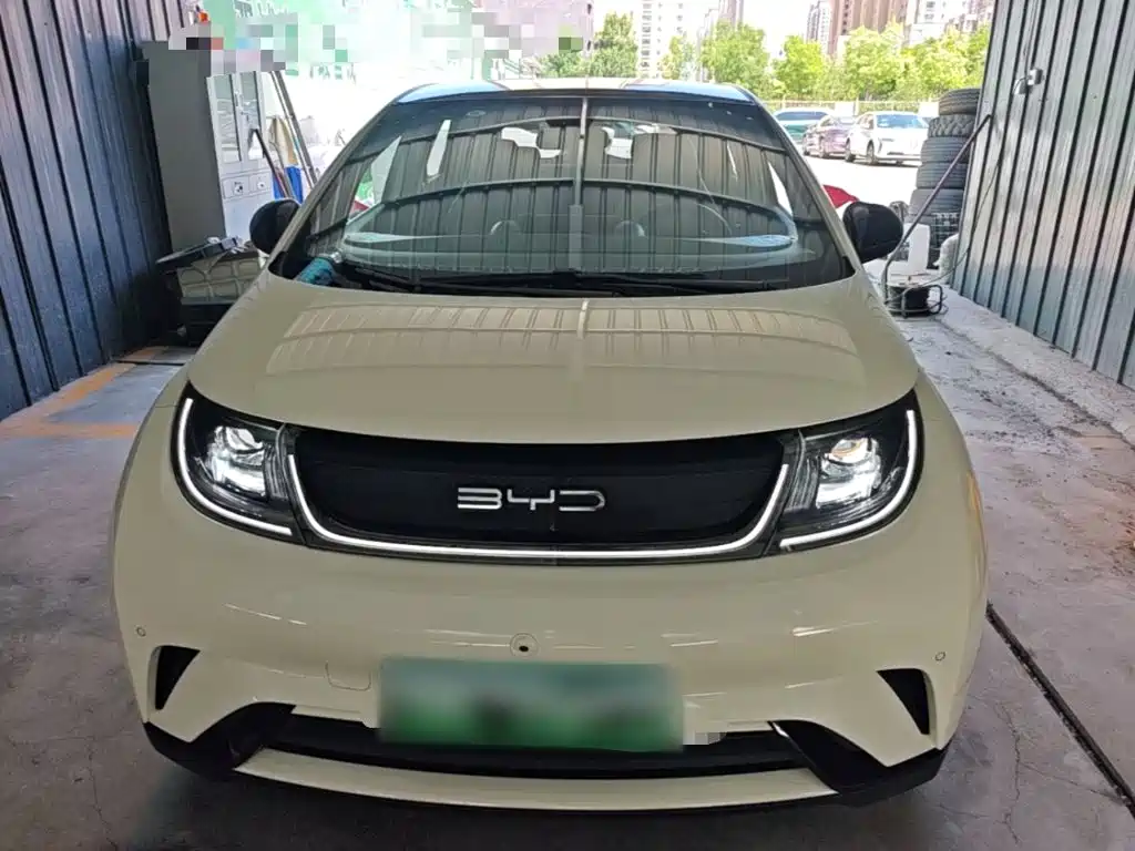BYD Dolphin 2024