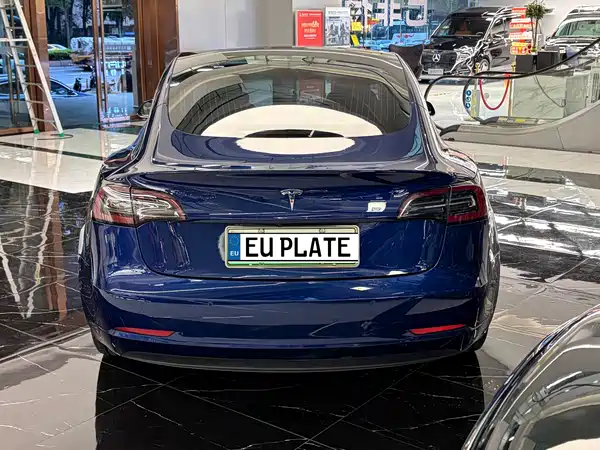 Tesla Model 3 2019