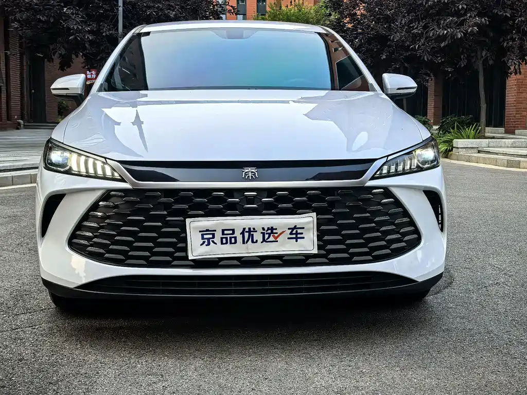BYD Qin PLUS 2025 — фото 6
