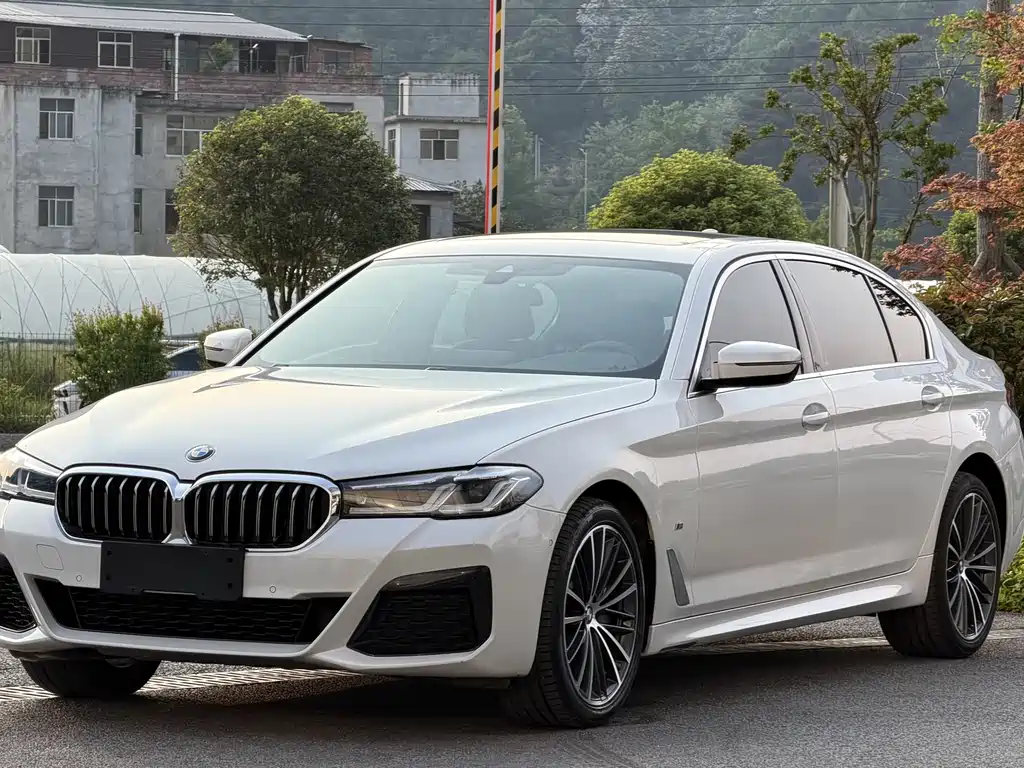 BMW 5 Series 2020 — фото 1