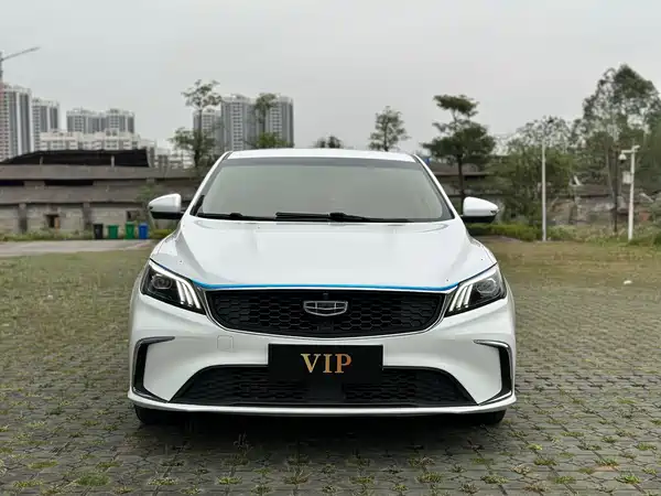 Geely Binrui 2021