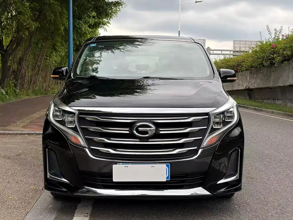 GAC Trumpchi M8 2020 — фото 2