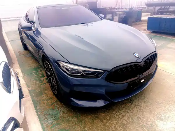 BMW 8 Series 2019