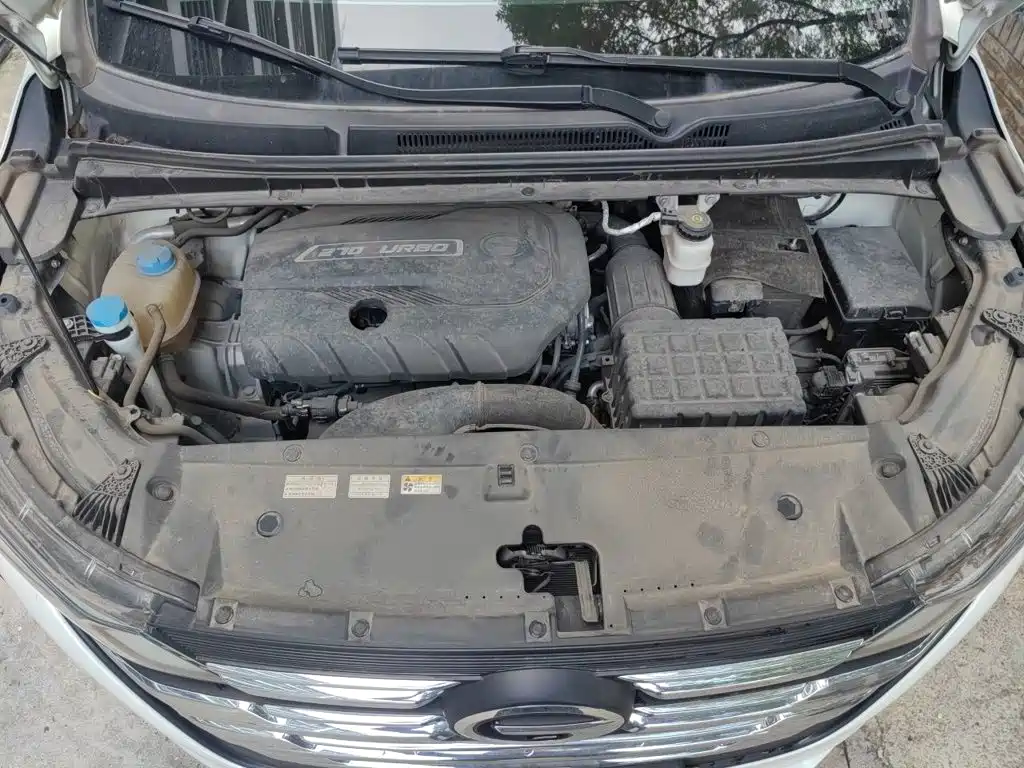 GAC Trumpchi M6 2021 — фото 16