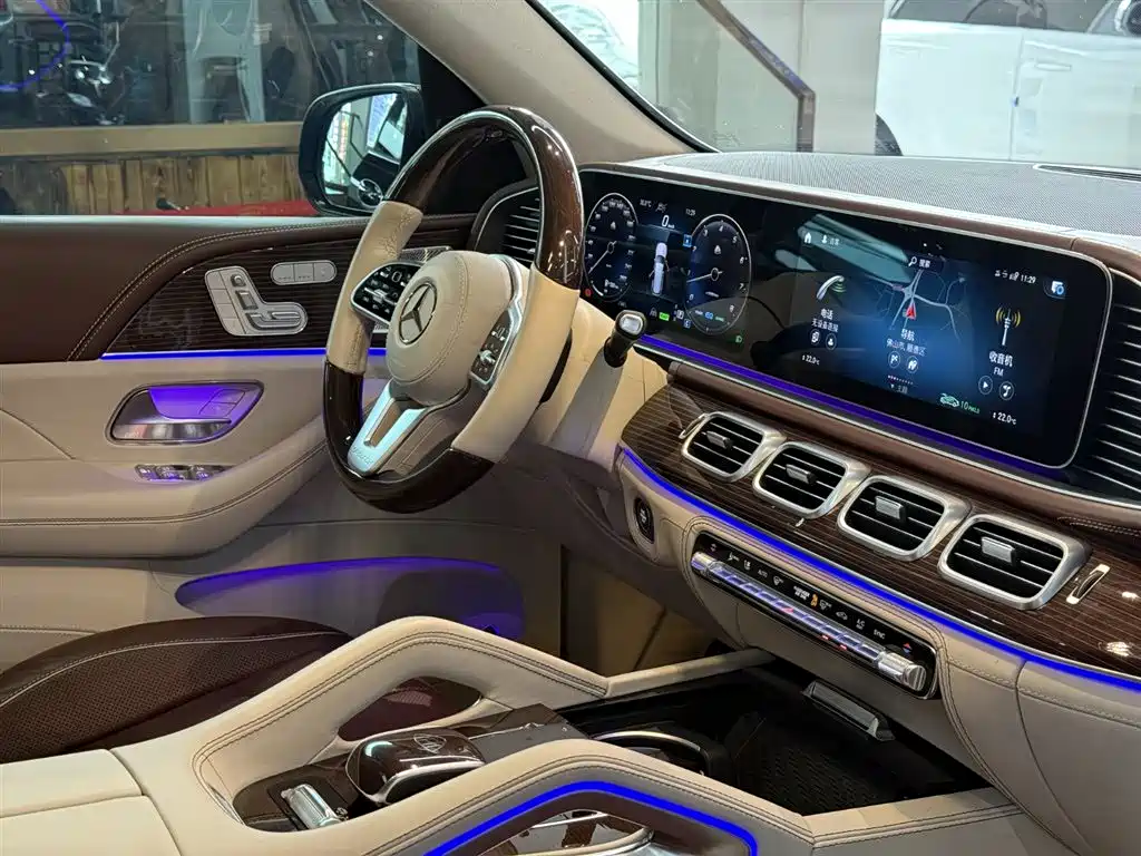 Mercedes-Benz Maybach GLS 2021 — фото 10