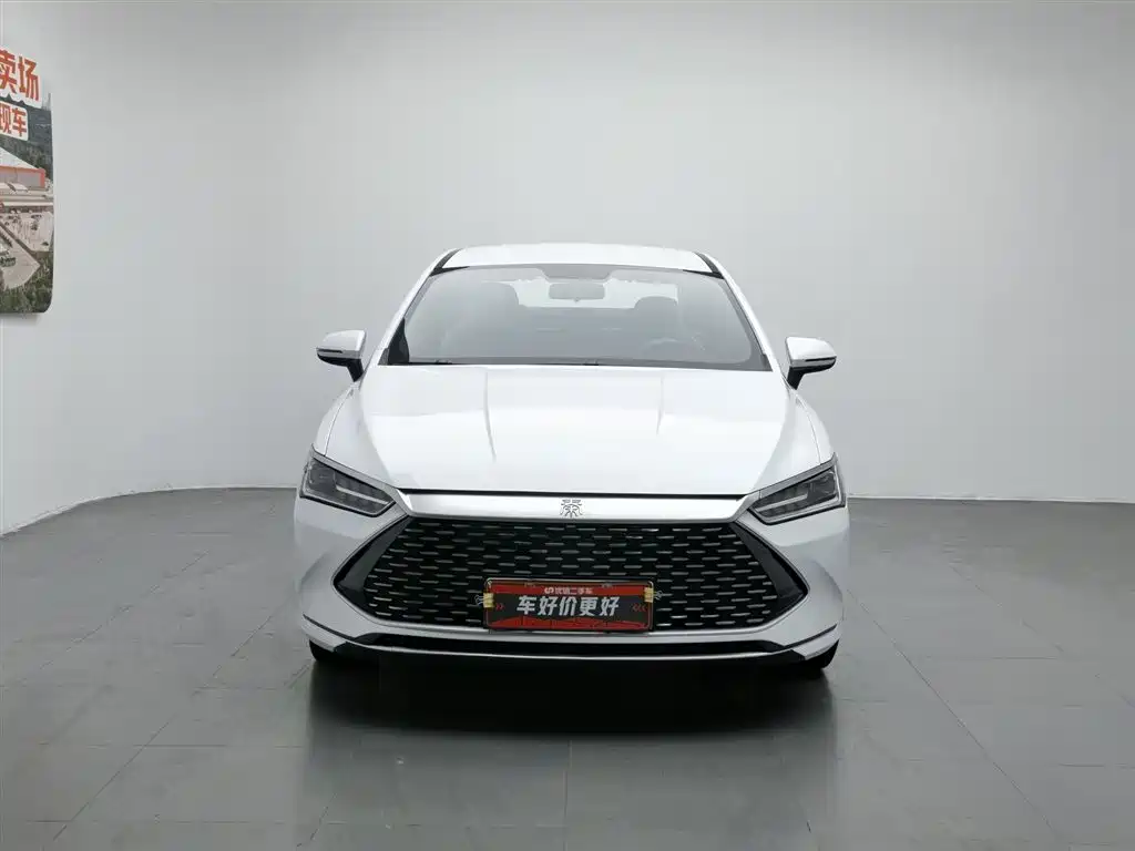 BYD Qin PLUS 2023 — фото 3