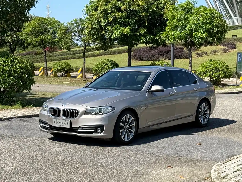 BMW 5 Series 2017 — фото 1