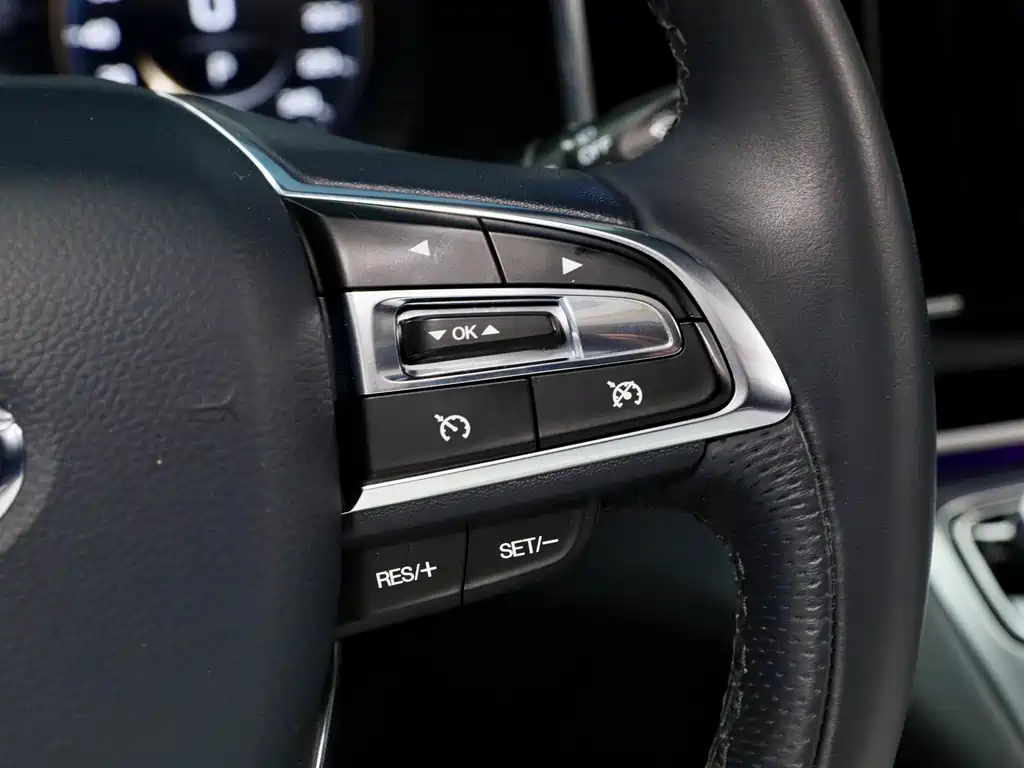 GAC Motor Trumpchi M8 2021 — фото 24