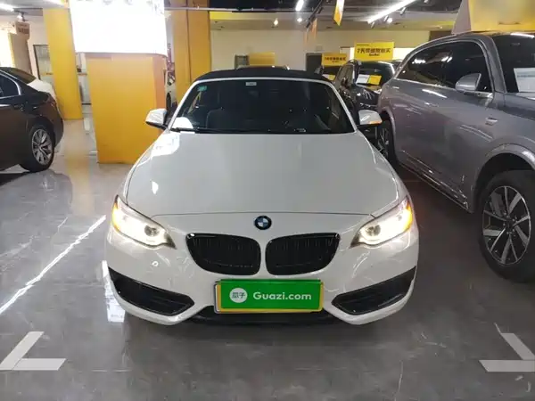 BMW 2 Series 2019